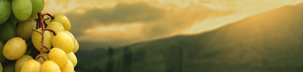 some image